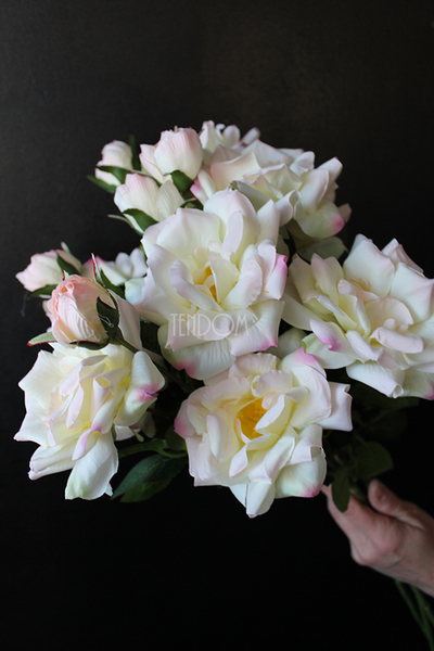 róża jasnoróżowa Romantic Cottage, dł.70cm