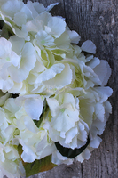 Biała Hortensja mięsista, wianek na drzwi, śr.35cm  