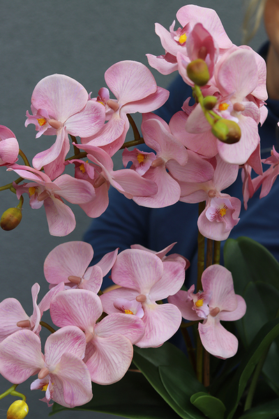 ekskluzywny storczyk w złotej donicy glamour, Pink&Gold, wys.60cm 