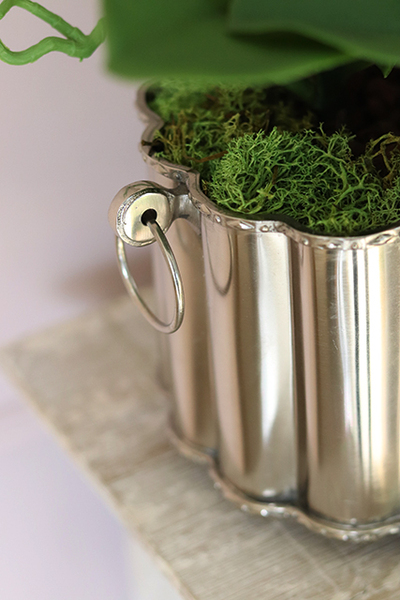 Selinia, niesamowity storczyk w cynowanej donicy, wys.55cm