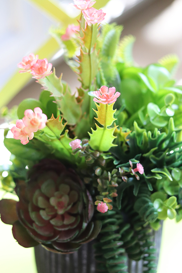 atrakcyjna kompozycja sukulenty Monterra, wys.37cm