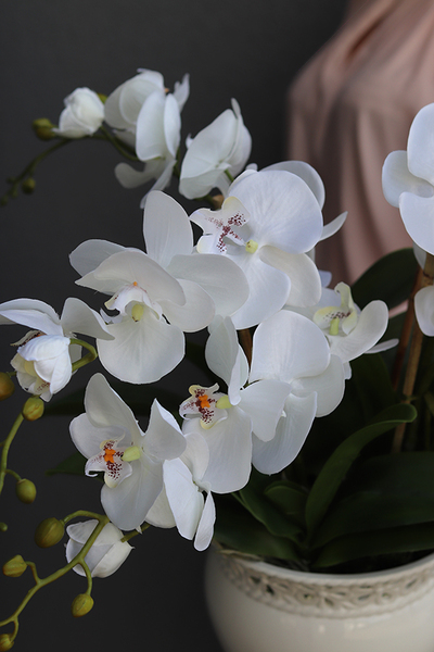 Kemano, sztuczny storczyk w ażurowej donicy, wys.50cm