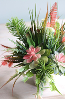 Albertina Design 2, kompozycja z sukulentami, wym.36x30cm