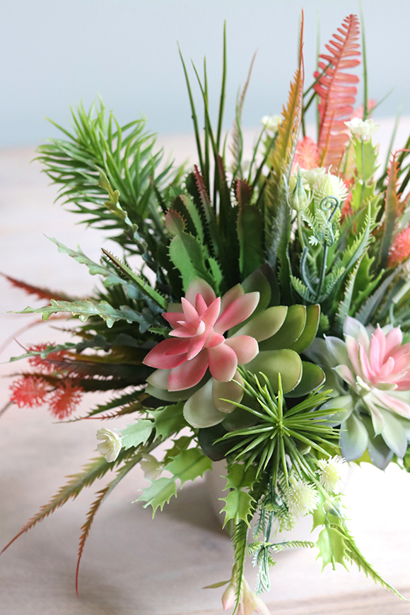 Albertina Design 2, kompozycja z sukulentami, wym.36x30cm