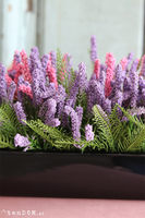 Cipriano Wrzosy, kompozycja kwiatowa w czarnej donicy, wym.20x40cm