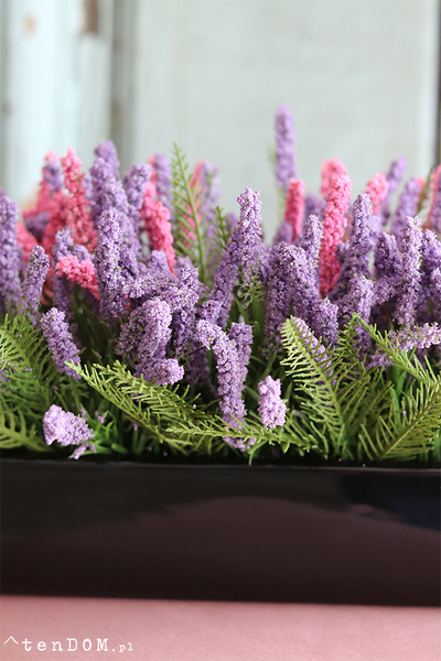 Cipriano Wrzosy, kompozycja kwiatowa w czarnej donicy, wym.20x40cm