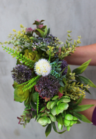 Sukulenty Small Design w okrągłej donicy, wys.22cm