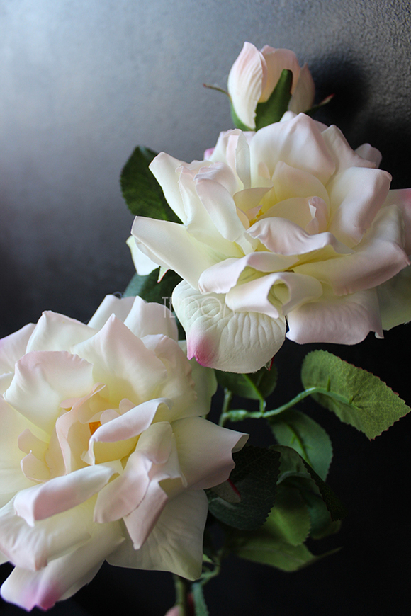 róża jasnoróżowa Romantic Cottage, dł.70cm