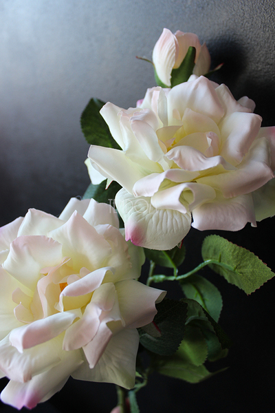 róża jasnoróżowa Romantic Cottage, dł.70cm