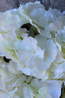 Biała Hortensja mięsista, wianek na drzwi, śr.35cm  