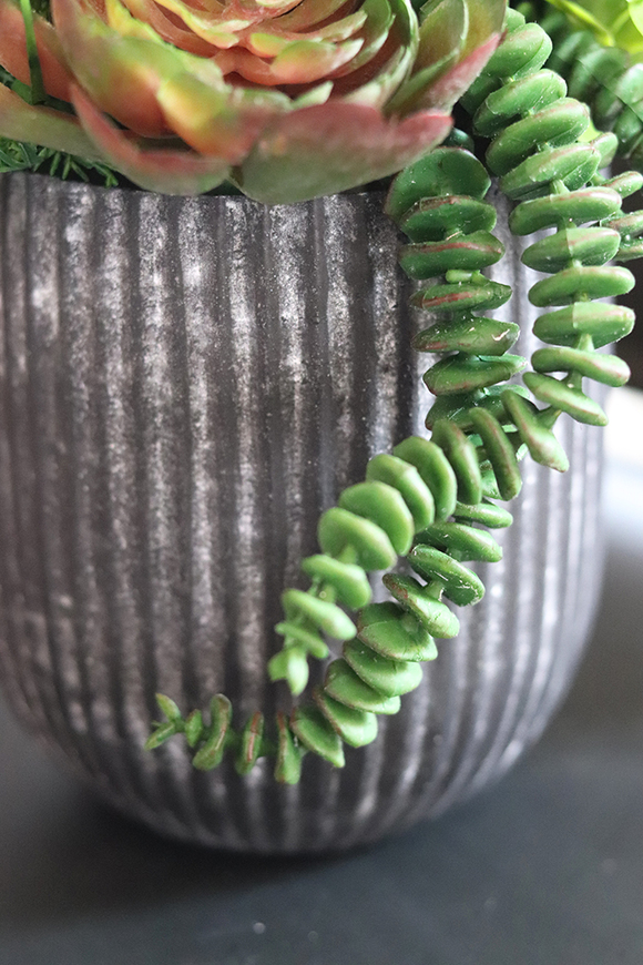 atrakcyjna kompozycja sukulenty Monterra, wys.37cm