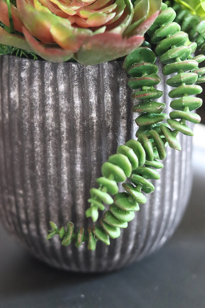 atrakcyjna kompozycja sukulenty Monterra, wys.37cm