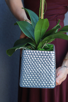 Silver Tenno, storczyk w srebrnej donicy o oryginalnej fakturze, wys.62cm 