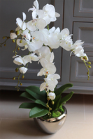 Aurelia Silver Small, elegancki storczyk w srebrnej donicy, wys.65cm