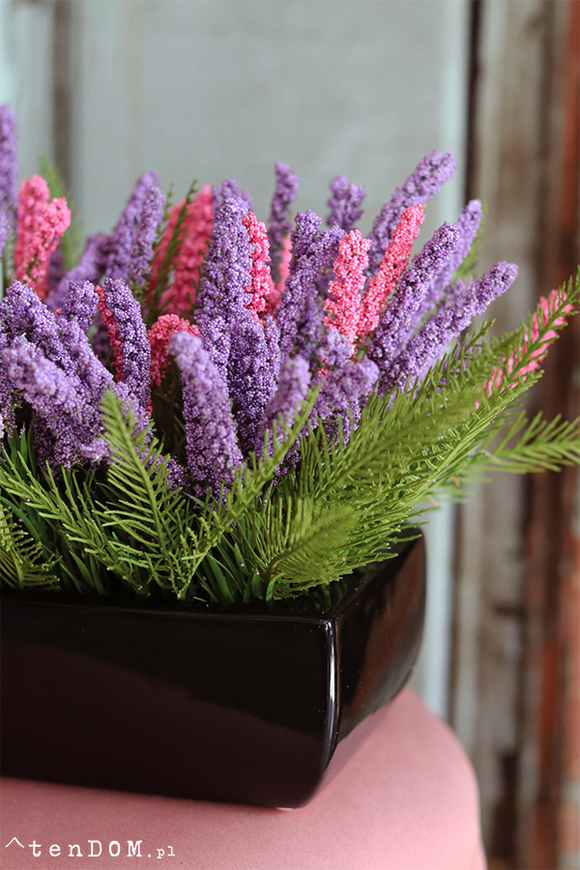 Cipriano Wrzosy, kompozycja kwiatowa w czarnej donicy, wym.20x40cm