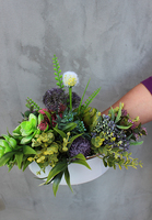 Sukulenty Small Design w okrągłej donicy, wys.22cm