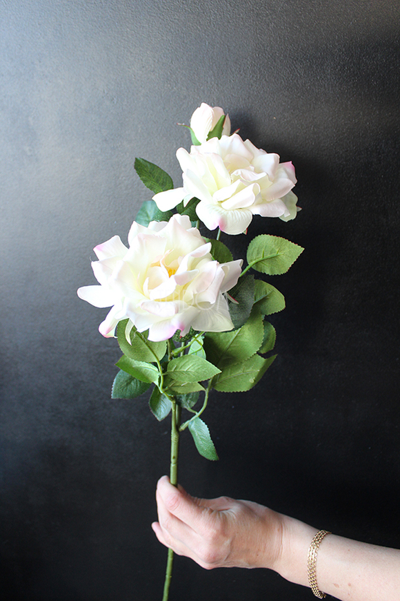 róża jasnoróżowa Romantic Cottage, dł.70cm