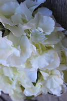 Biała Hortensja mięsista, wianek na drzwi, śr.35cm  