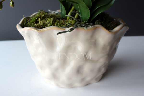 storczyk Fuksja Deco Patra w ceramicznej "pogniecionej" donicy, wys.55cm