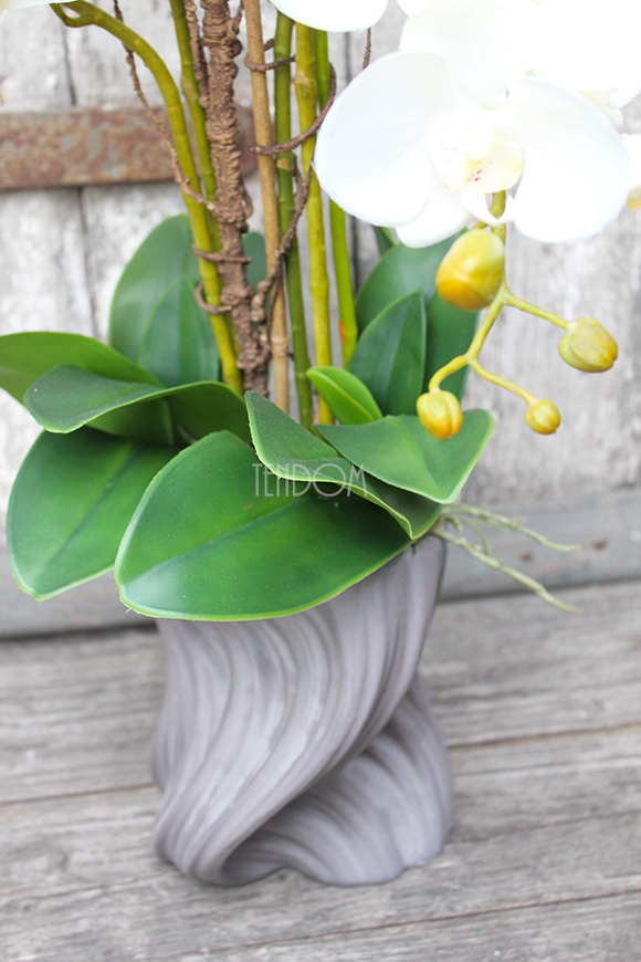 storczyk Fala w szarej donicy, wys.58cm 