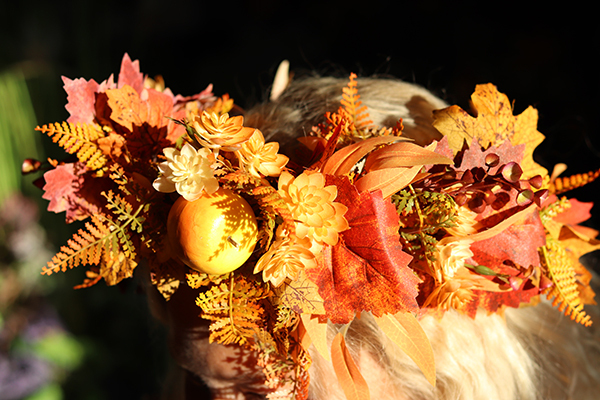 jesienny wianek na głowę, Pani Jesień 3, rozmiar uniwersalny