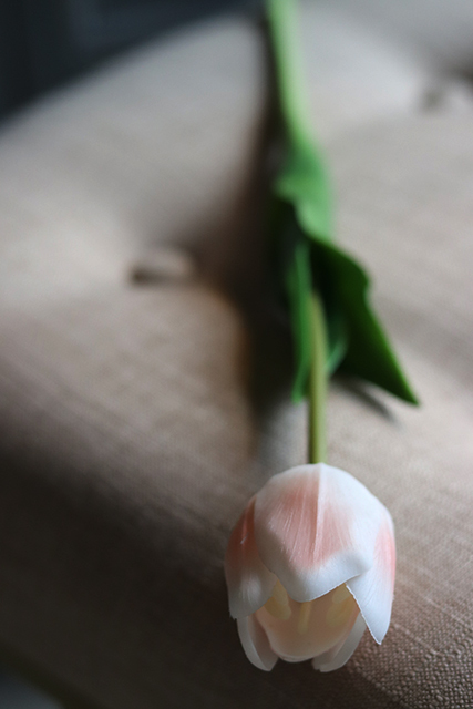 tulipan pojedynczy, Wiosenne Piękno, 1szt. dł.43cm
