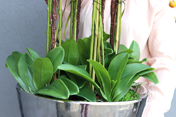 Helissa Silver, storczyk w stylowej lustrzanej donicy z podstawką, wys.95cm