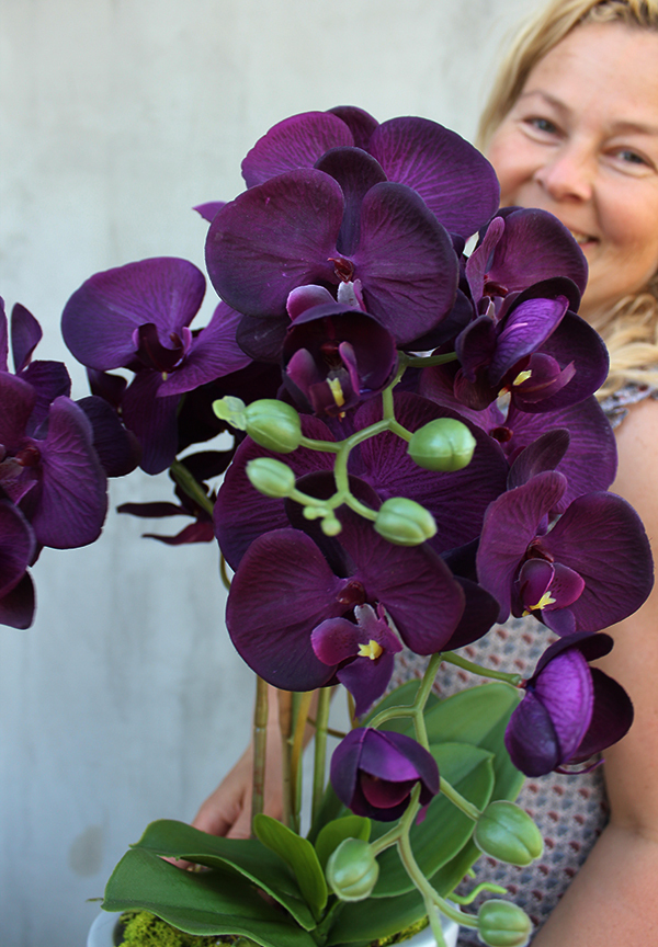 Irys, fioletowy storczyk w szarej donicy, wys.58cm