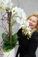 Exclusive Italy duży storczyk w eleganckiej donicy wys.87cm