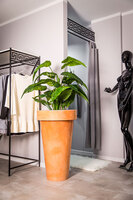 Pons donica terakota, 52x90cm