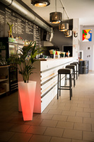 Rossa donica podświetlana 16kolorów + pilot 38x75cm