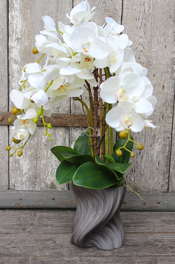 storczyk Fala w szarej donicy, wys.58cm 