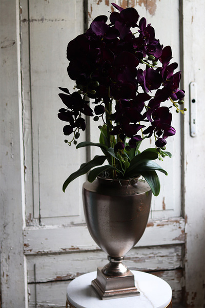 ekskluzywny storczyk w pękatym pucharze, Violetona Villa, wys.90cm 