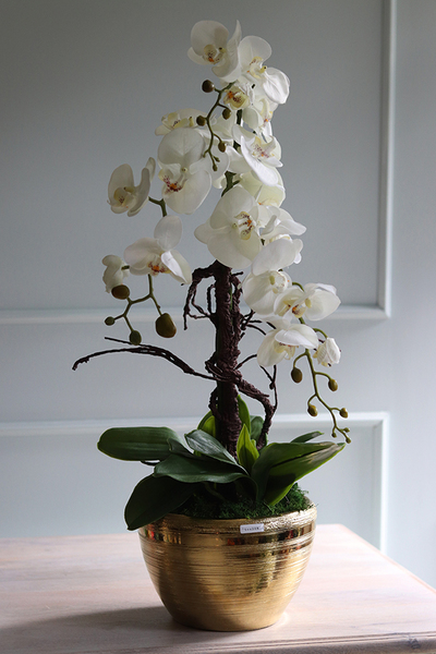 Goldisya Malla, komplet eleganckich storczyków, 2szt