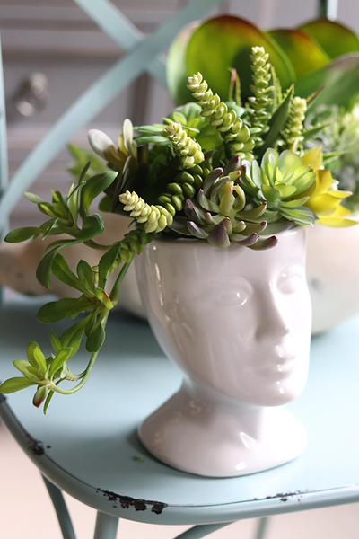 efektowna kompozycja sukulenty, Pstro w Głowie, wys.24cm