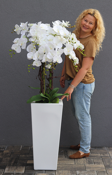 Camila Grande Fiberglass, duży biały storczyk w donicy, wys.152cm