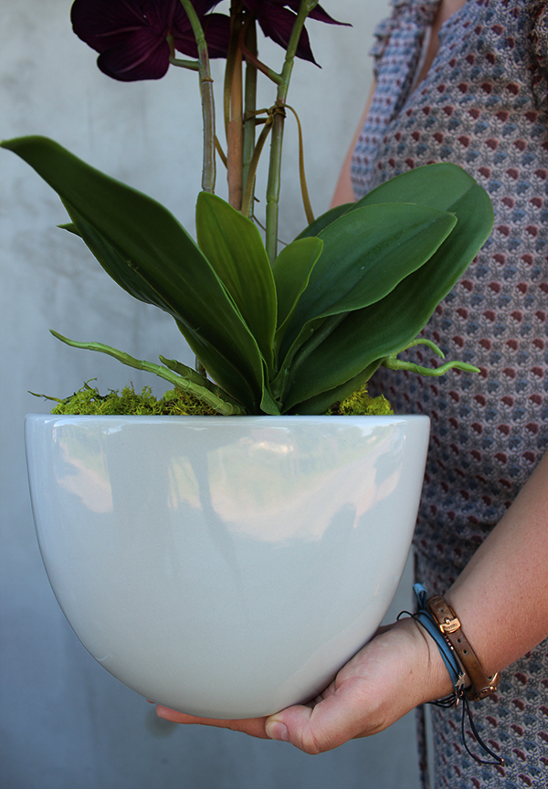 Irys, fioletowy storczyk w szarej donicy, wys.58cm