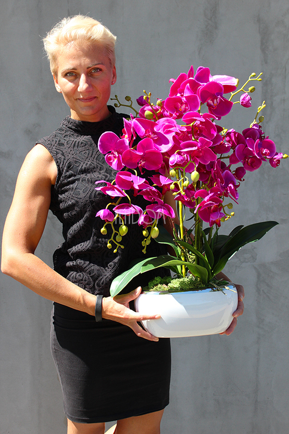 Glamour Fuksja, storczyk w białej podłużnej donicy, wys.65cm
