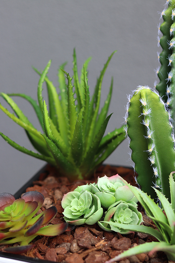 Minora, kompozycja z kaktusem w białej donicy, wys.85cm