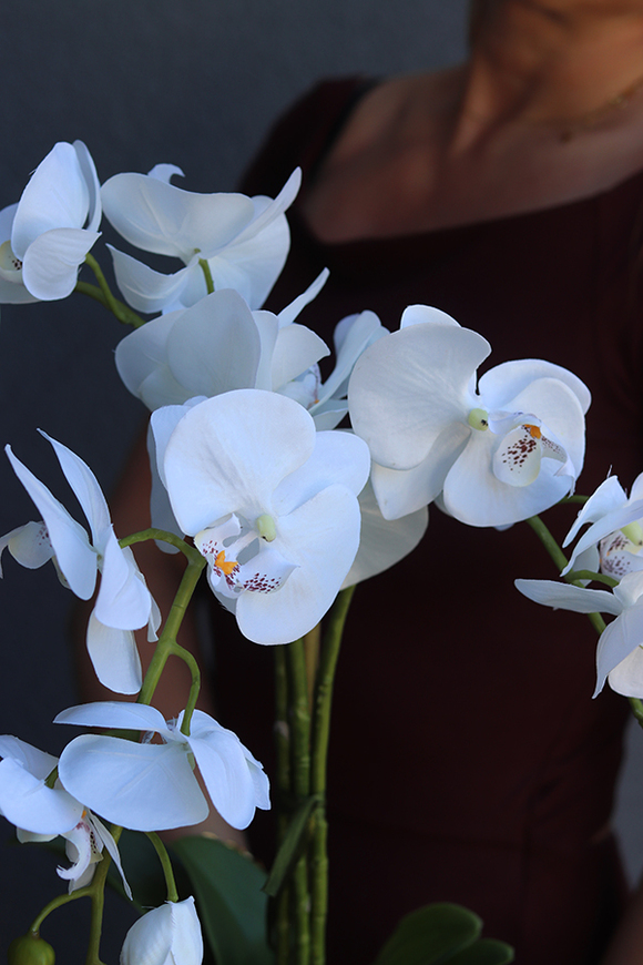 Kemina, stylowy storczyk w perłowo - złotej donicy, wys.60cm