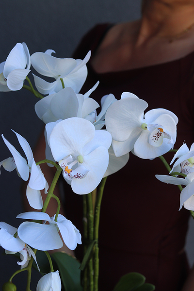 Kemina, stylowy storczyk w perłowo - złotej donicy, wys.60cm