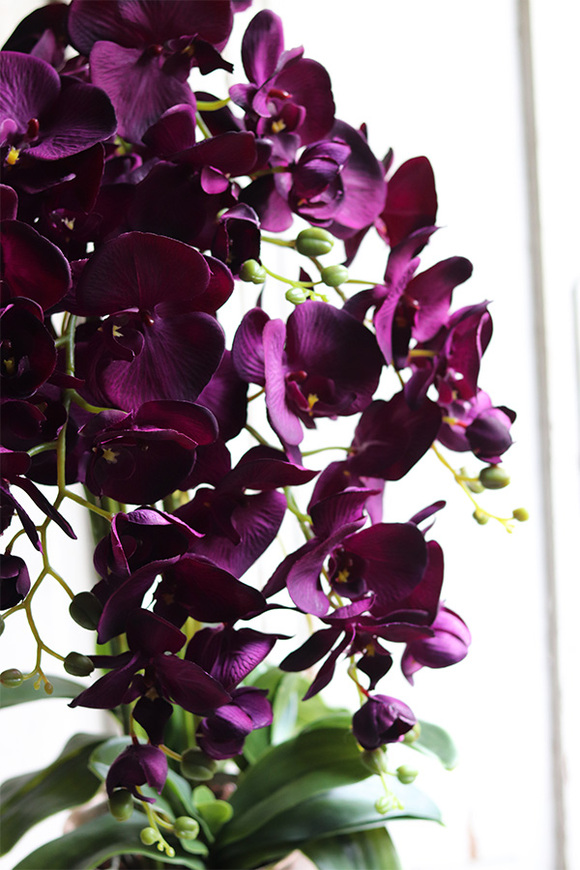 ekskluzywny storczyk w pękatym pucharze, Violetona Villa, wys.90cm 