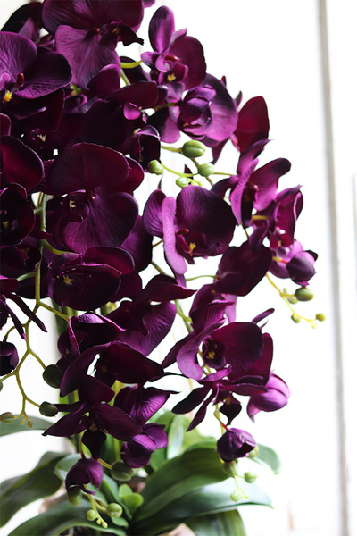 ekskluzywny storczyk w pękatym pucharze, Violetona Villa, wys.90cm 