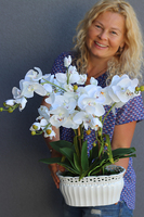 Lucina, sztuczny storczyk w ceramicznej ażurowej donicy, wys.50cm