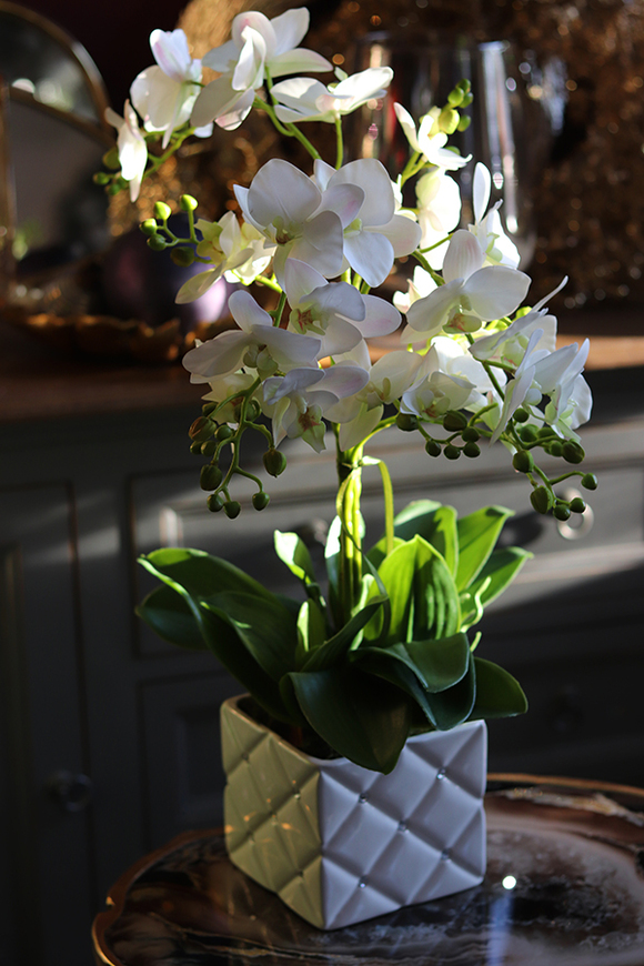 gumowy storczyk Monaco Glamour, wys.59cm