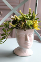 efektowna kompozycja sukulenty, Pstro w Głowie, wys.24cm