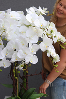 Camila Grande Fiberglass, duży biały storczyk w donicy, wys.152cm