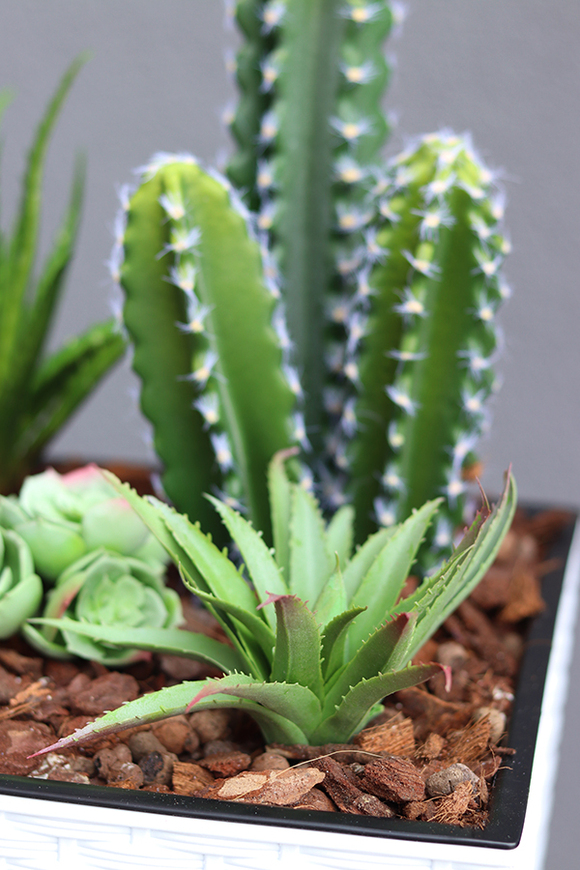 Minora, kompozycja z kaktusem w białej donicy, wys.85cm