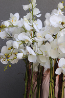 Helissa Silver, storczyk w stylowej lustrzanej donicy z podstawką, wys.95cm