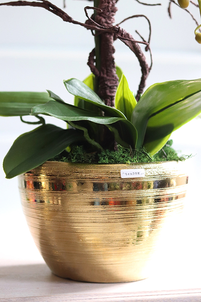 Goldisya Malla, komplet eleganckich storczyków, 2szt